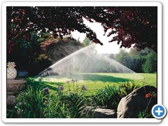 gallery_irrigation_1(2)