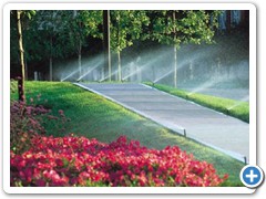 gallery_irrigation_2