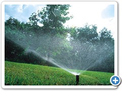 gallery_irrigation_3