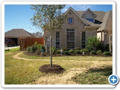 Gallery_Landscapes_16